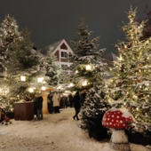 Buxtehuder Wintermärchen © Hansestadt Buxtehude