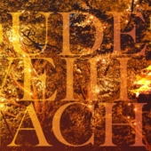 Dorsten Oude Weihnacht_Foto Schaukelbaum