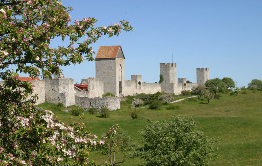 Visby town wall